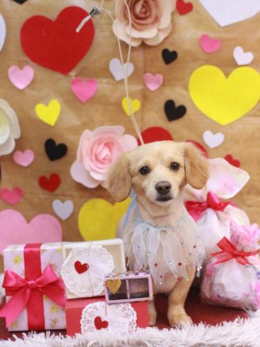 20230228くう～くん